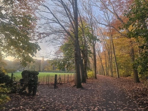 Zum Schlösschen Borghees