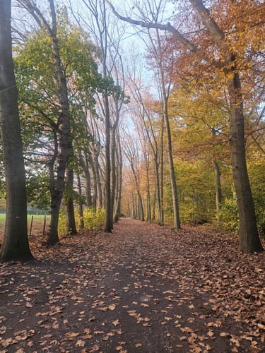 Zum Schlösschen Borghees