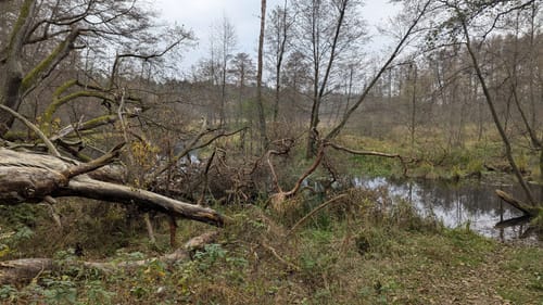 Entlang der Löcknitz von Fangschleuse