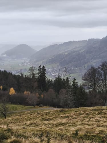 Ratholz - Alpe Starkatsgund