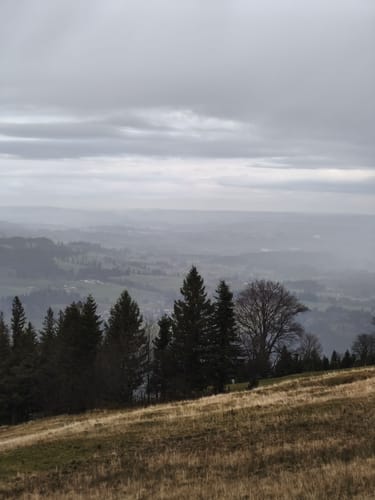 Ratholz - Alpe Starkatsgund