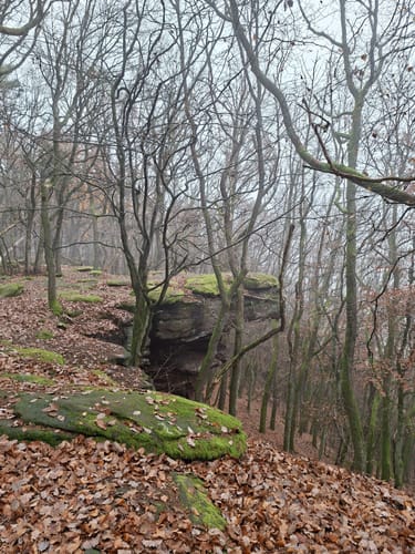 Hüttenhohl zum Kesselberg über dem Steigerkopf