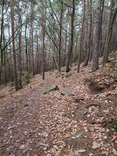Hüttenhohl zum Kesselberg über dem Steigerkopf
