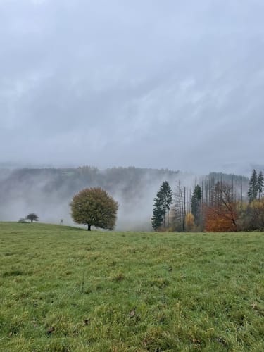 Von Eitelborn zum Schlossberg