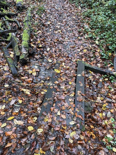 Von Eitelborn zum Schlossberg