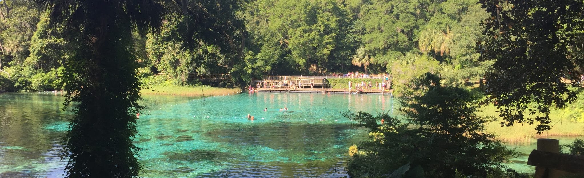 Rainbow Springs Blue Trail, Florida - 175 Reviews, Map | AllTrails