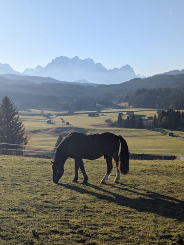 Mittenwald - Gröblalm - Schmal-See