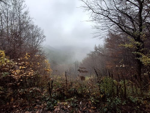 Wandern in Clausen C11