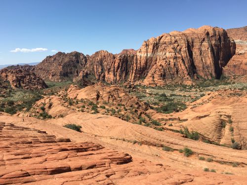 are dogs allowed in snow canyon state park