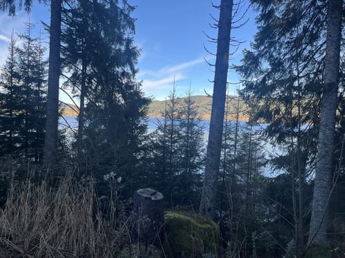 Schluchsee Rundweg