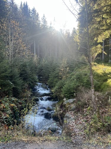 Schluchsee Rundweg
