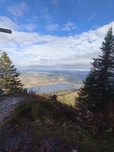 Ratholz - Alpe Starkatsgund