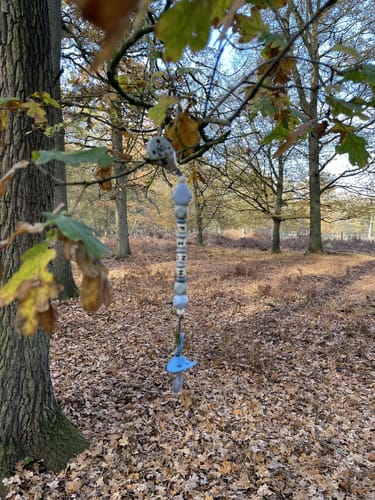 Durch den Diersfordter Wald zur Dünenlandschaft