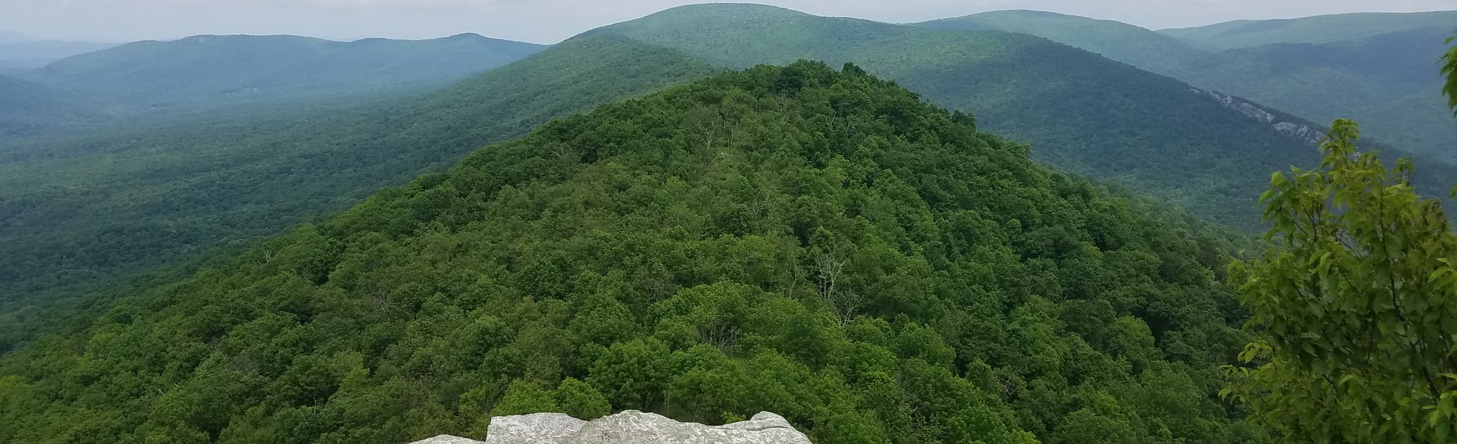 Big Schloss via Wolf Gap Trail 1856 Reviews, Map West Virginia