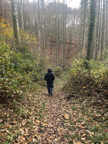 Schaumberg Tafeltour (Premiumwanderweg)