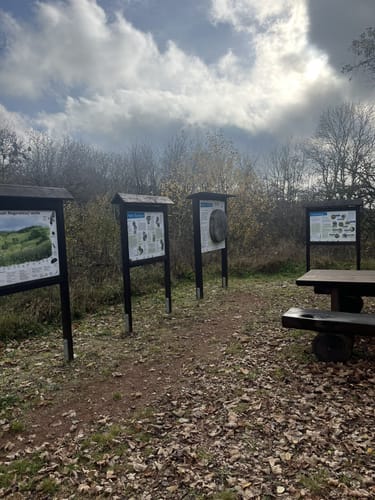 Schaumberg Tafeltour (Premiumwanderweg)