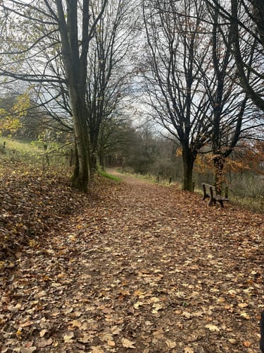 Schaumberg Tafeltour (Premiumwanderweg)