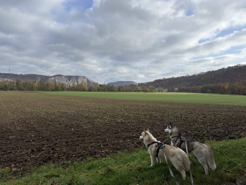 Norheim - Niederhausen - Kafels