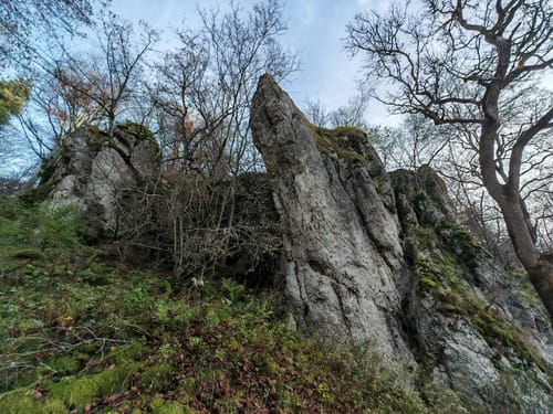 Witbergrunde (Premiumwanderweg)