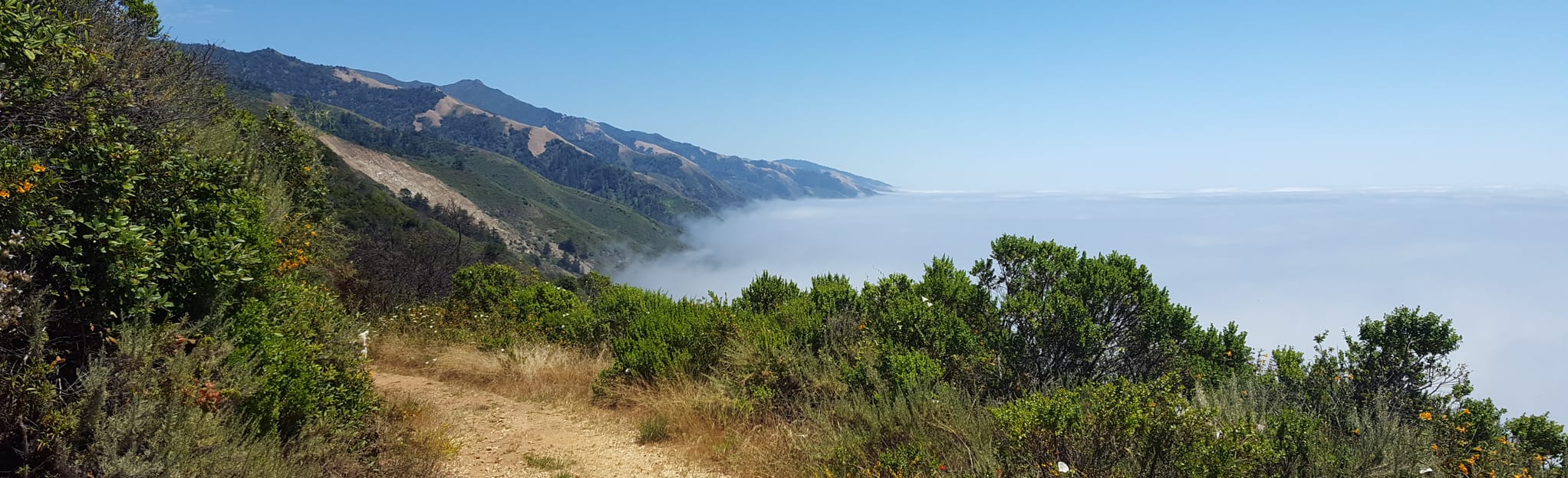 Tanbark Trail and Tin House 1.341 foto's California AllTrails