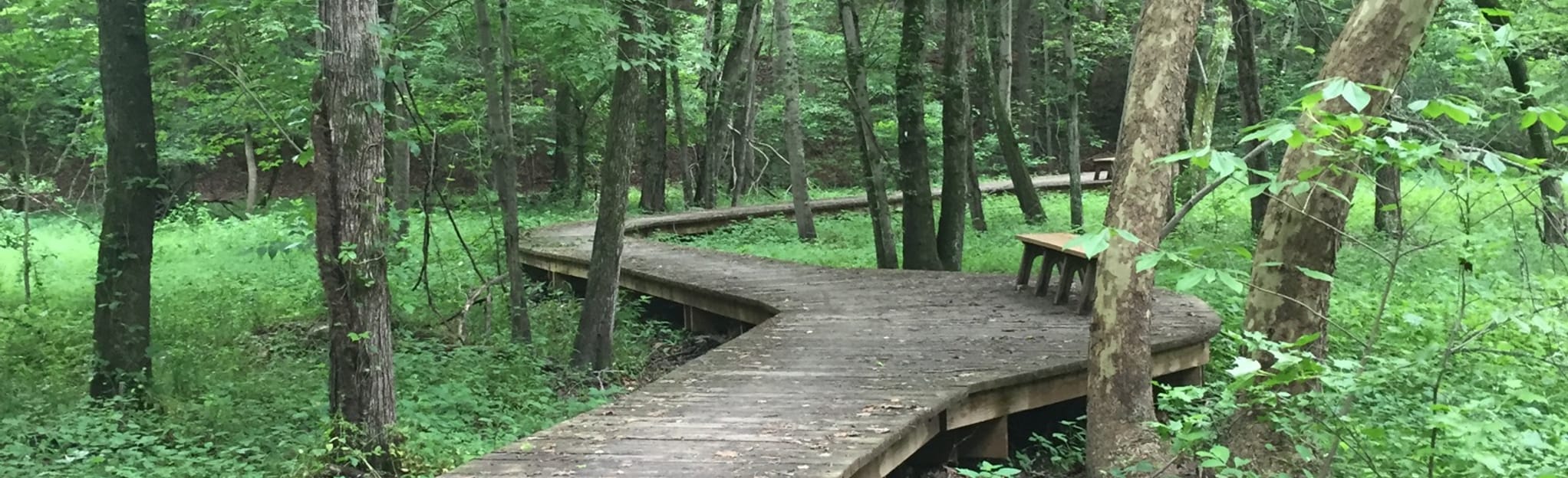 South Branch, Boss, Yard Sale, and Stinger Loop 497 Reviews, Map