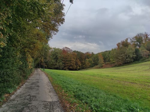 Oberhalb des Felderbachtals vorbei am Langenberger Sender