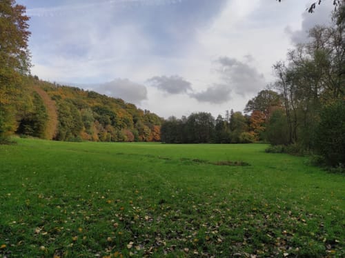 Oberhalb des Felderbachtals vorbei am Langenberger Sender