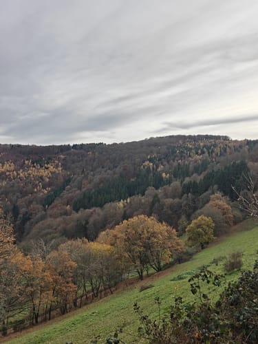 Dedenborn und Rur Panorama Rundweg