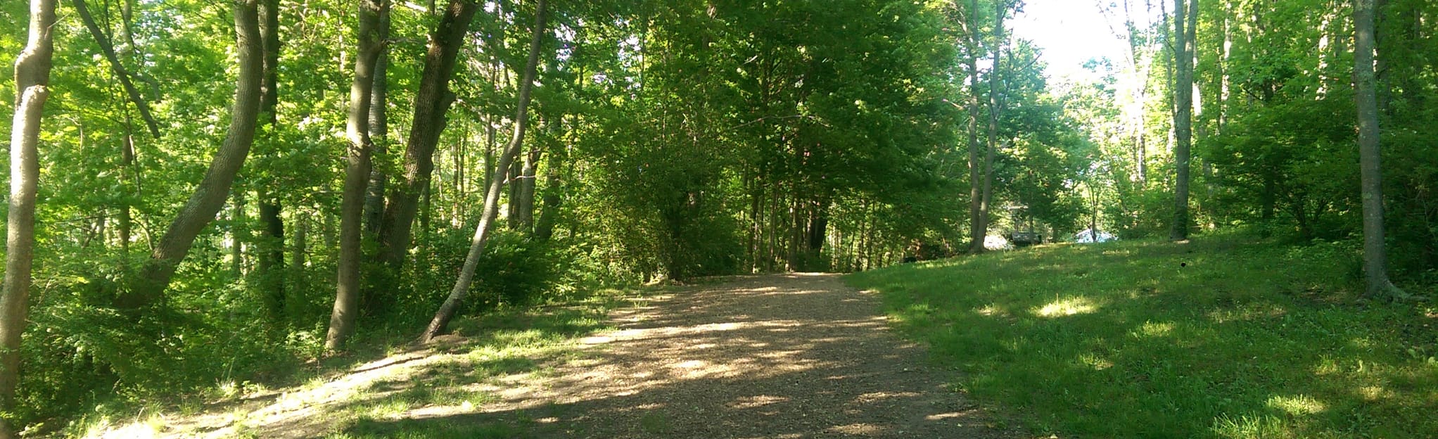 Carver Pond Trails 135 Reviews, Map Massachusetts AllTrails