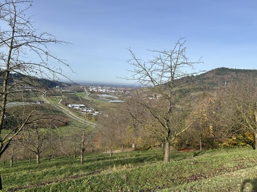 Lautenbacher Teufelsteig