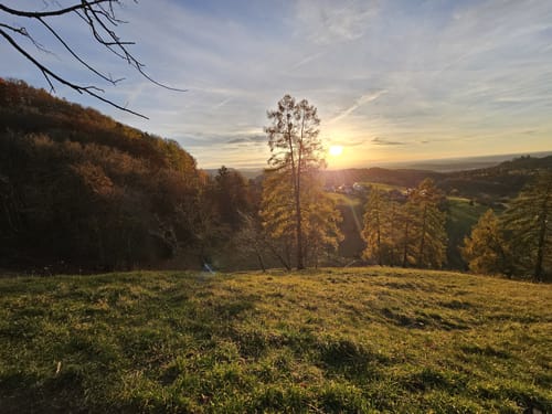 Gustav-Ströhmfeld-Weg