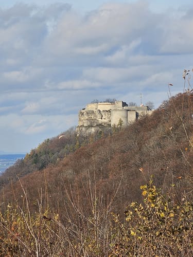 Gustav-Ströhmfeld-Weg