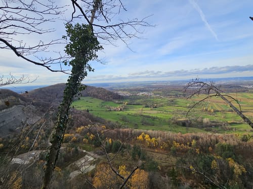 Gustav-Ströhmfeld-Weg