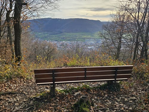 Gustav-Ströhmfeld-Weg