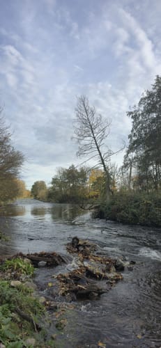 Hückelhoven Baal: Baaler Hasenglöckchen