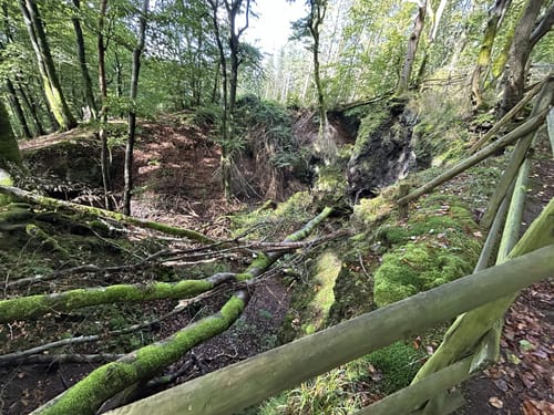 Von Steinborn zum Ernstberg
