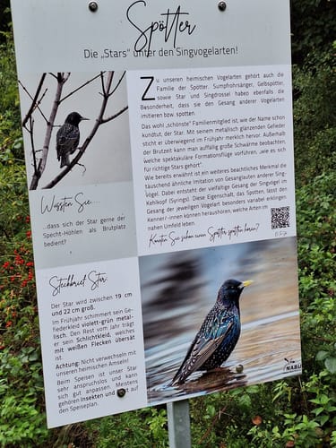 Karrenberg (Premiumwanderweg)
