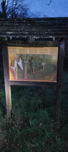 Simmertal, Felsengarten und Schloß Dhaun