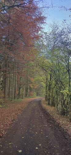 Preuswald