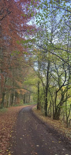 Preuswald