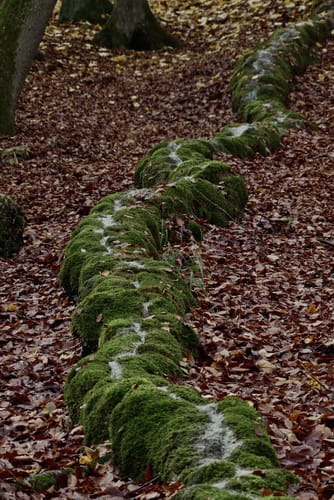 Roschlaub - Mariengrotte