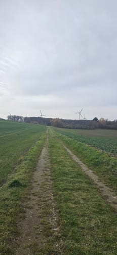 Eifeltraum (Traumpfädchen)