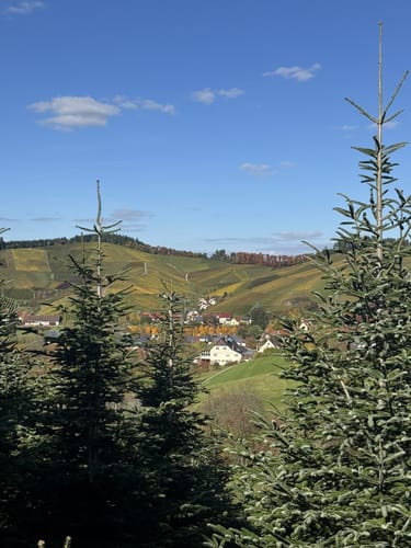 Durbacher Weitblick (Premiumwanderweg)
