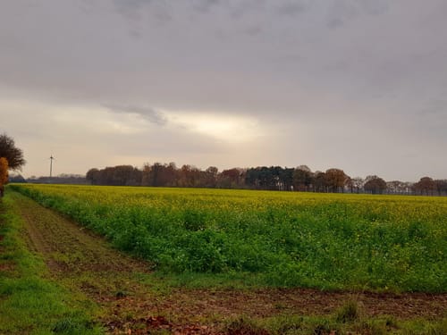 Geschwister Tour Bocholt