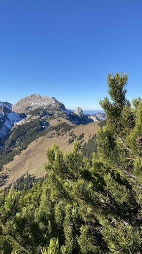 Scheinbergspitze BT 2