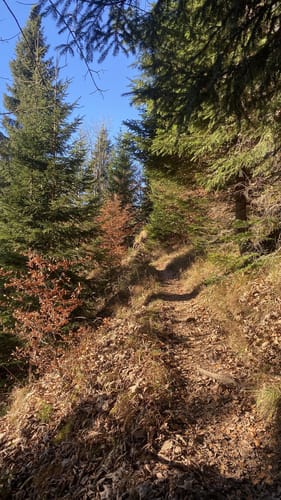 Scheinbergspitze BT 2