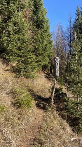 Scheinbergspitze BT 2