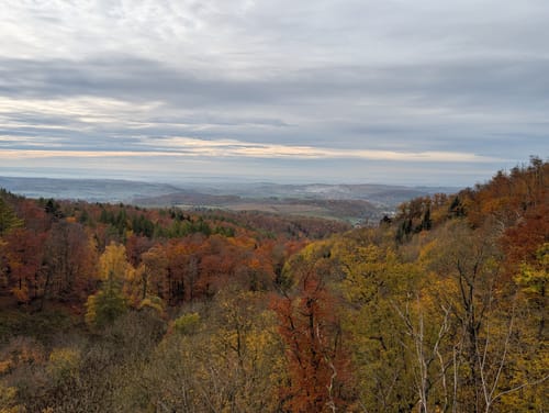 Dreitälerblick - Ilfelder Wetterfahne von Ilfeld