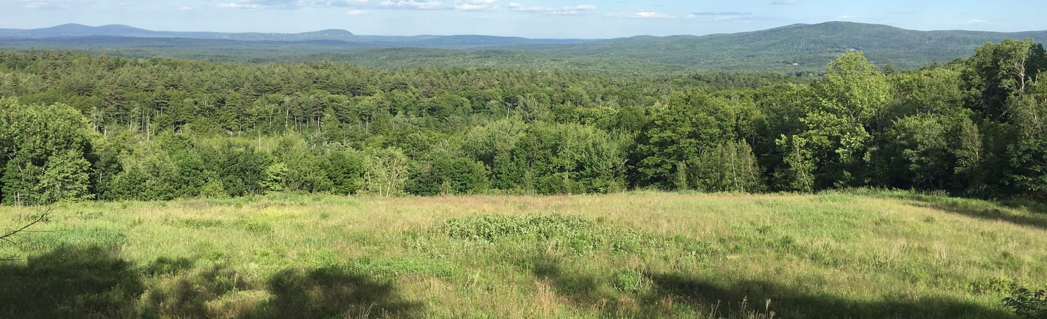 Crotched Mountain Lookout via Shannon's Trail : 561 bilder – New ...