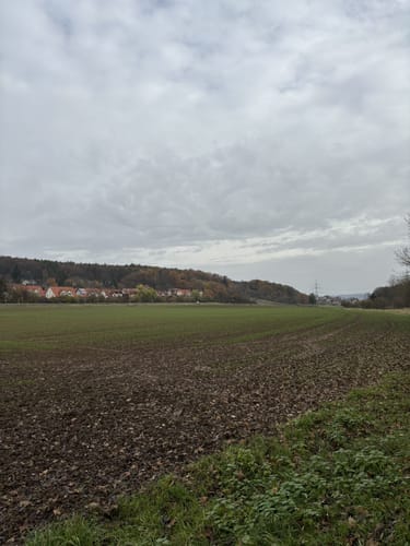 Jubiläumsweg Gundelsheim